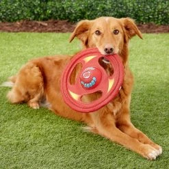 Hartz Tuff Stuff Flyer Squeaky Dog Toy, Color Varies -Hart FurHavOfficial Shop 82714 PT2. SY630 V1589228771