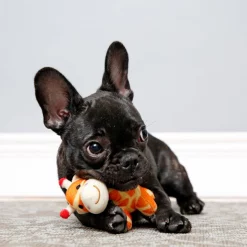 Hartz Tiny Dog Jungle Squeaky Plush Dog Toy, Character Varies -Hart FurHavOfficial Shop 82738 PT3. SY630 V1620835346