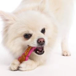 Hartz Chew 'n Clean Dental Duo Dog Treat & Chew Toy -Hart FurHavOfficial Shop 82743 PT4. SY630 V1549914726