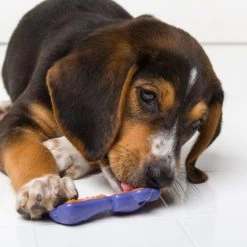 Hartz Chew 'n Clean Dental Duo Dog Treat & Chew Toy -Hart FurHavOfficial Shop 82743 PT6. SY630 V1549914475