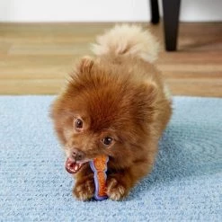 Hartz Chew 'n Clean Dental Duo Dog Treat & Chew Toy -Hart FurHavOfficial Shop 82743 PT8. SY630 V1507562908