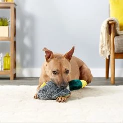 Hartz Nature's Collection Quackers Squeaky Plush Dog Toy, Color Varies -Hart FurHavOfficial Shop 82746 PT2. SY630 V1589228858