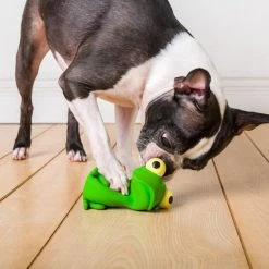 Hartz Bug Eyes Squeak Latex Dog Toy, Character Varies -Hart FurHavOfficial Shop 82848 PT2. SY630 V1589228905