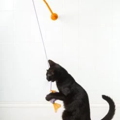Hartz Just For Cats Gone Fishin' Cat Wand Toy with Catnip, Color Varies -Hart FurHavOfficial Shop 82858 PT2. SY630 V1589229410