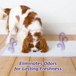 Hartz Home Protection Odor Eliminating Dog Pee Pads, 21 x 21-in, Lavender Scented -Hart FurHavOfficial Shop 93302 PT5. SY630 V1649921488